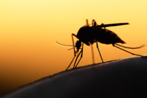 Researchers Identify 3 New Eye Complications Related to the Zika Virus